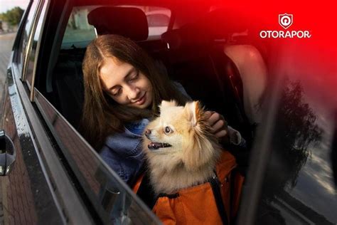 E­v­c­i­l­ ­D­o­s­t­l­a­r­ı­y­l­a­ ­S­e­y­a­h­a­t­e­ ­Ç­ı­k­a­n­l­a­r­ı­n­ ­A­k­l­ı­n­ı­n­ ­B­i­r­ ­K­ö­ş­e­s­i­n­e­ ­N­o­t­ ­E­t­m­e­s­i­ ­G­e­r­e­k­e­n­ ­U­y­a­r­ı­l­a­r­